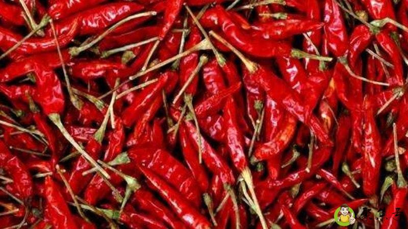 10斤辣椒2斤盐可以吗