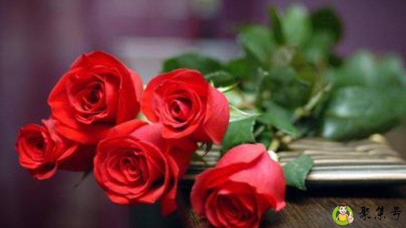 鲜花养护小知识