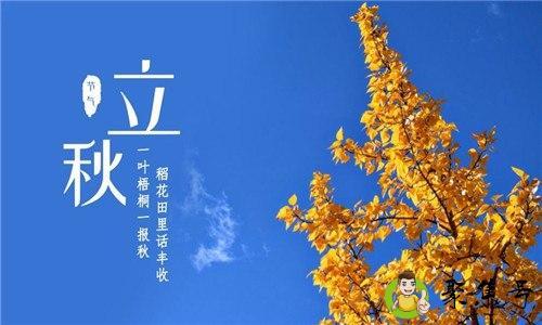 孟秋时节什么意思