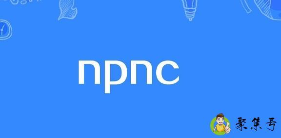 npnc什么意思