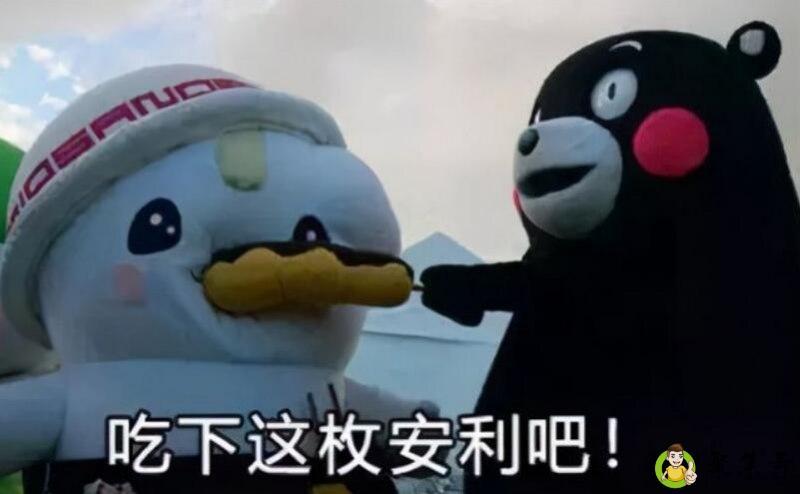 安利了是什么意思