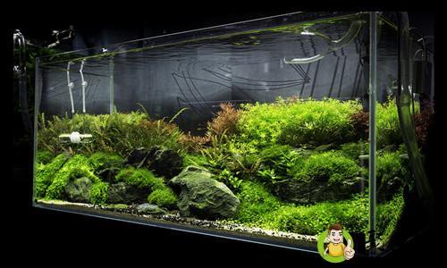 空气缸是什么意思