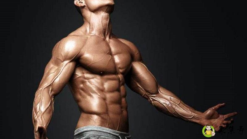 健身入门基础知识是什么