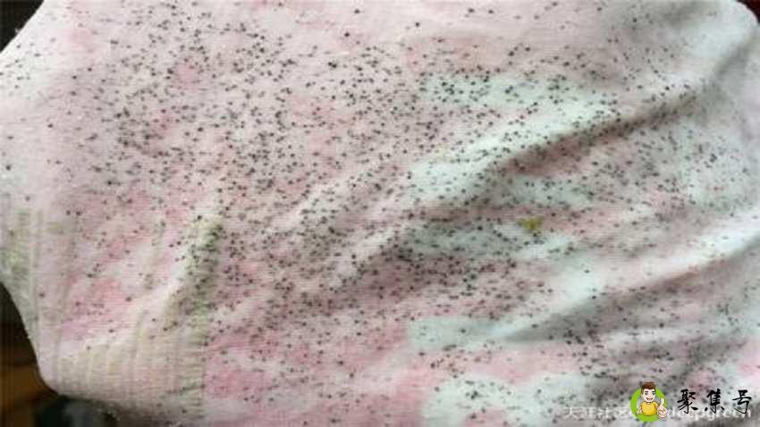 去霉点有效方法