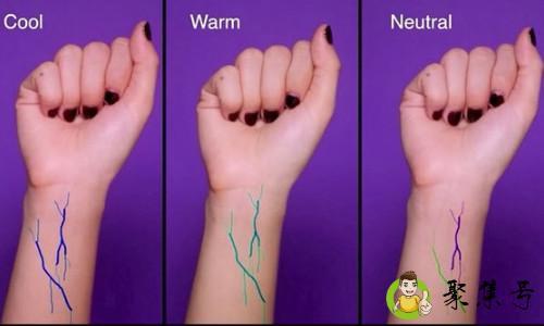 暖皮和冷皮的区别