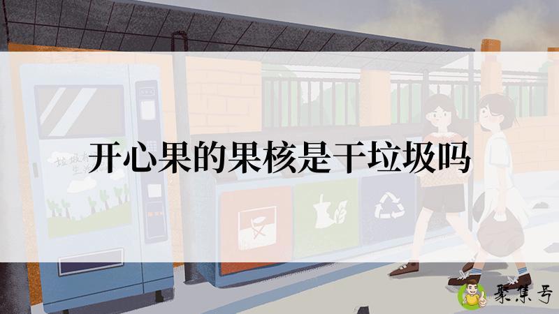 开心果的果核是干垃圾吗
