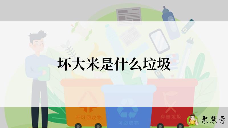坏大米是什么垃圾