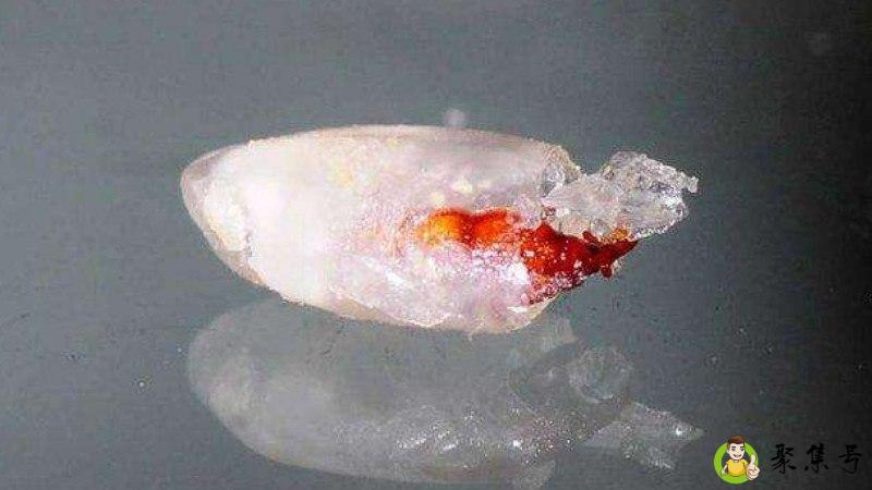 长米虫的米还能吃吗