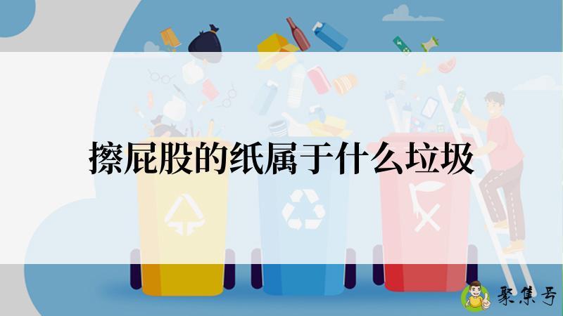 擦屁股的纸属于什么垃圾