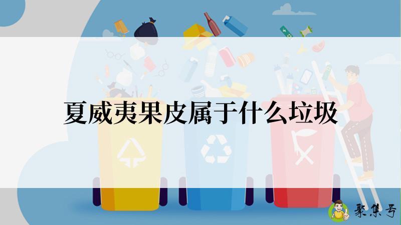 夏威夷果皮属于什么垃圾