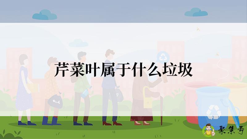 芹菜叶属于什么垃圾