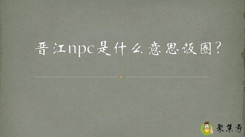 晋江npc是什么意思饭圈