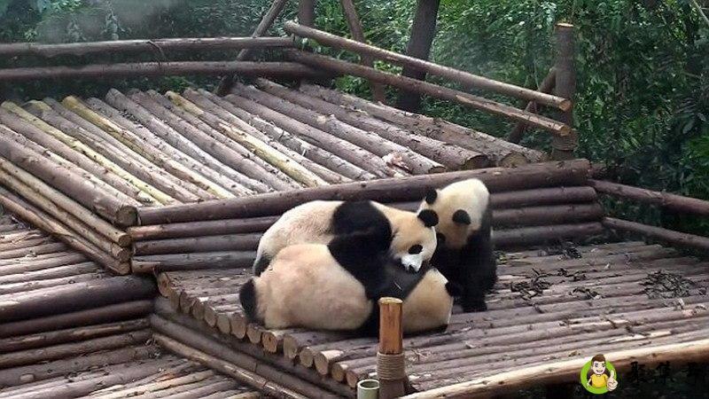 垂头丧气的反义词