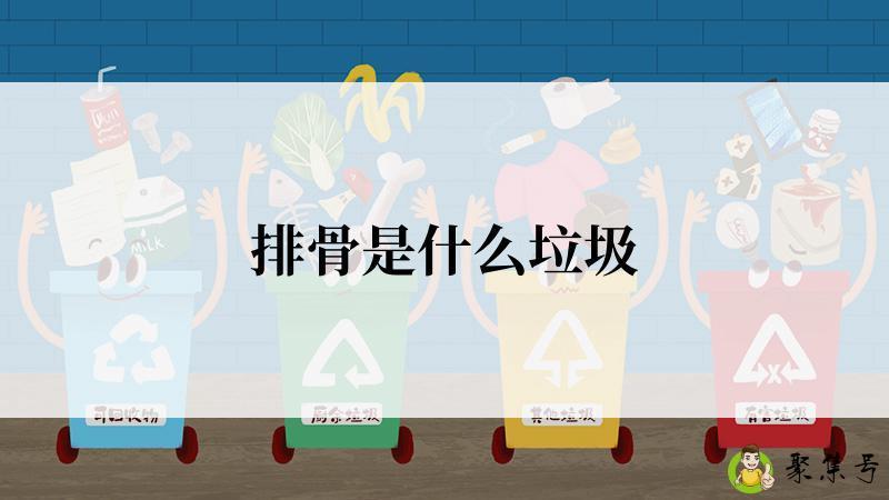 排骨是什么垃圾