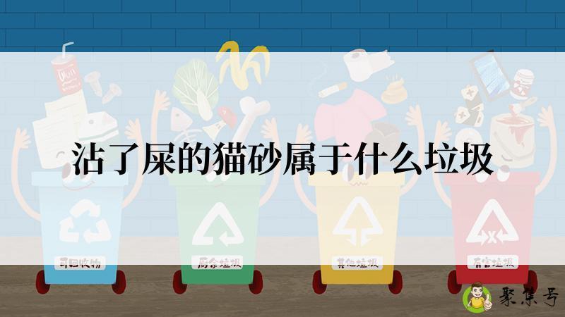 沾了屎的猫砂属于什么垃圾