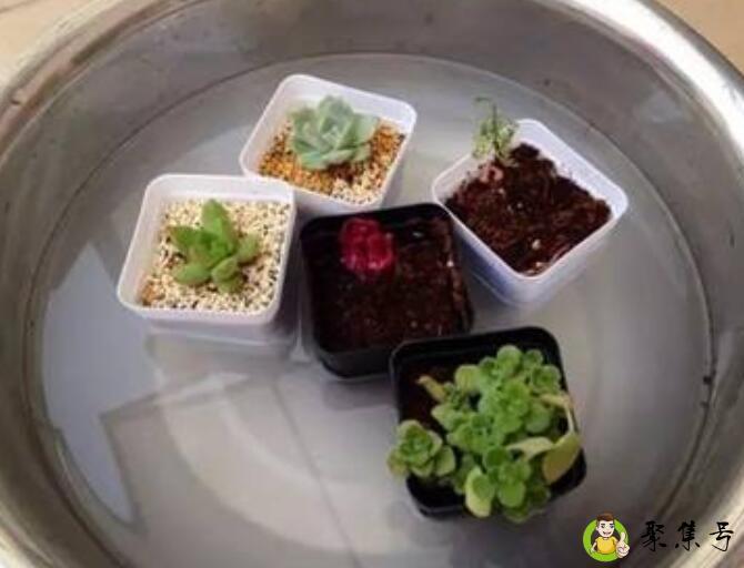 浸盆法一般要多久