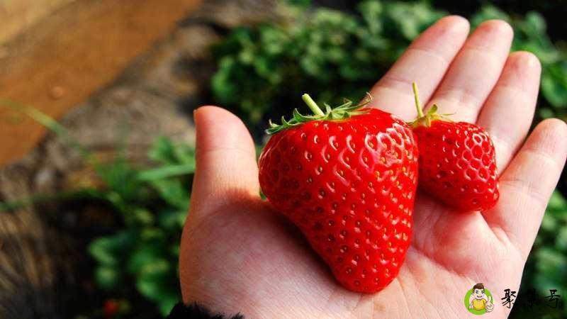 晚安啾咪是什么意思