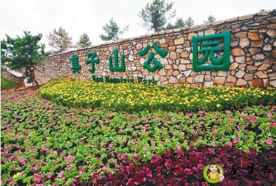 沈阳莫子山的来历