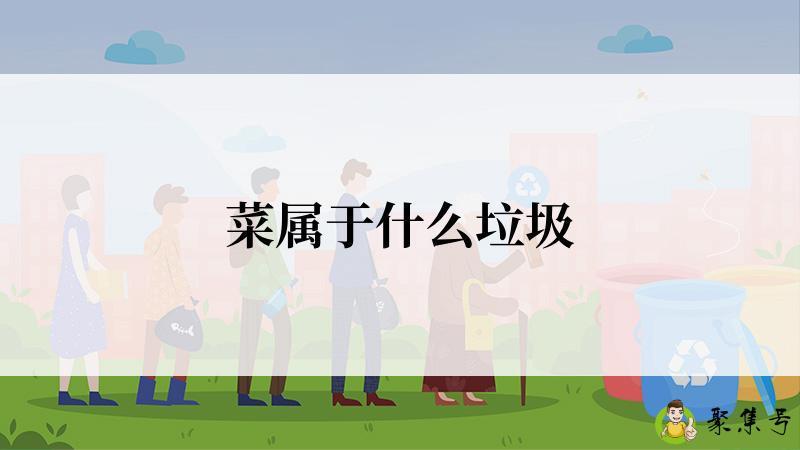 菜属于什么垃圾