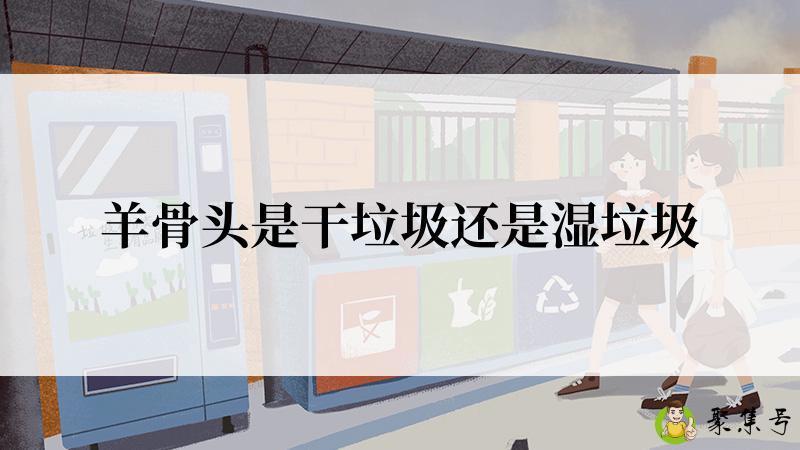 羊骨头是干垃圾还是湿垃圾