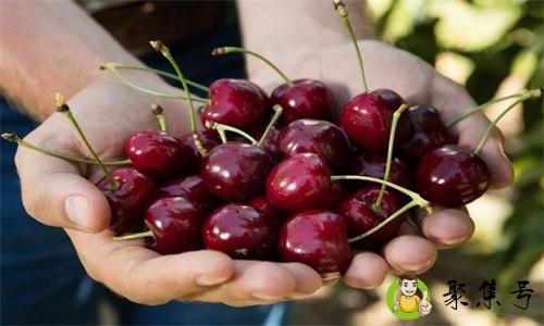 ld车厘子是什么意思