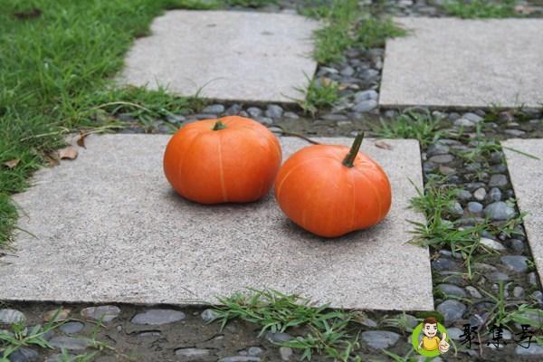 男士补血吃什么