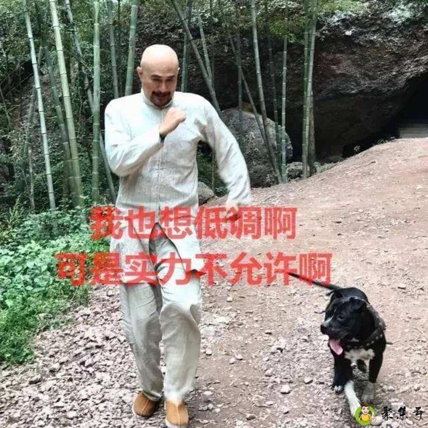 实力不允许啥意思