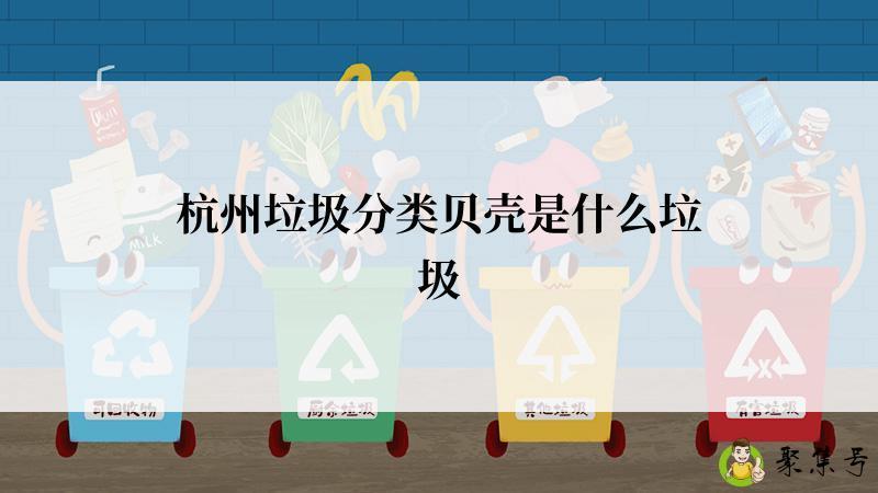 杭州垃圾分类贝壳是什么垃圾