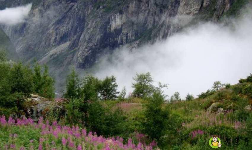 北欧包括哪几个国家