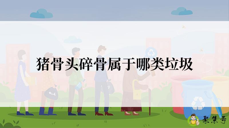 猪骨头碎骨属于哪类垃圾