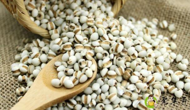 大薏仁米和小薏仁米的区别与功效