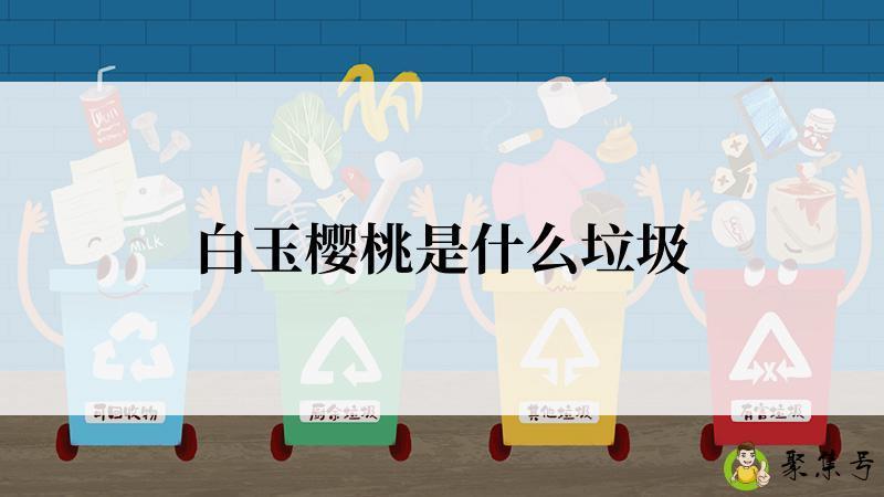 白玉樱桃是什么垃圾