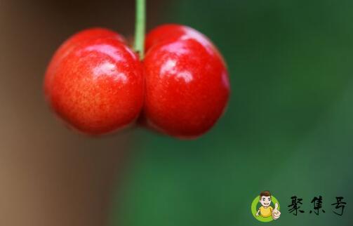 双胞胎樱桃能吃吗