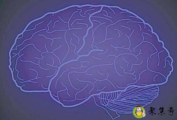 大脑容量会满吗