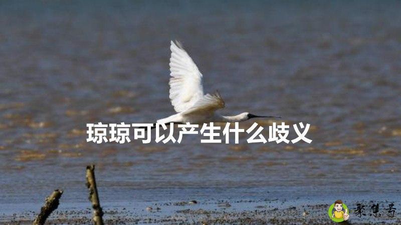 琼琼可以产生什么歧义