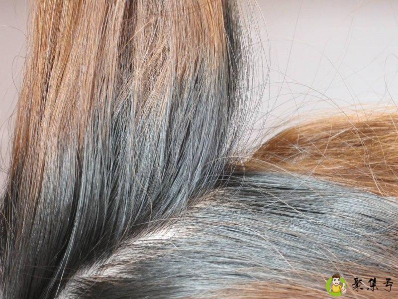 活虮子和死虮子的区别