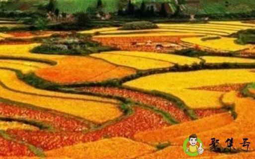 描写秋天丰收的词语