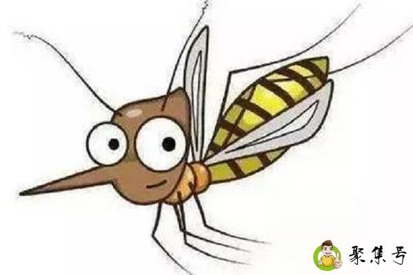 开灯蚊子躲哪了