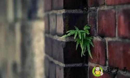 人生种种悲欢不同什么意思