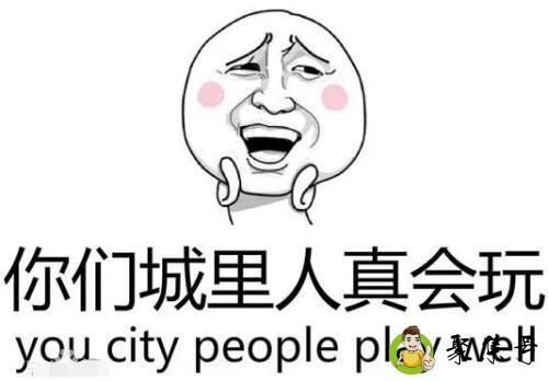 wq网络上是啥意思