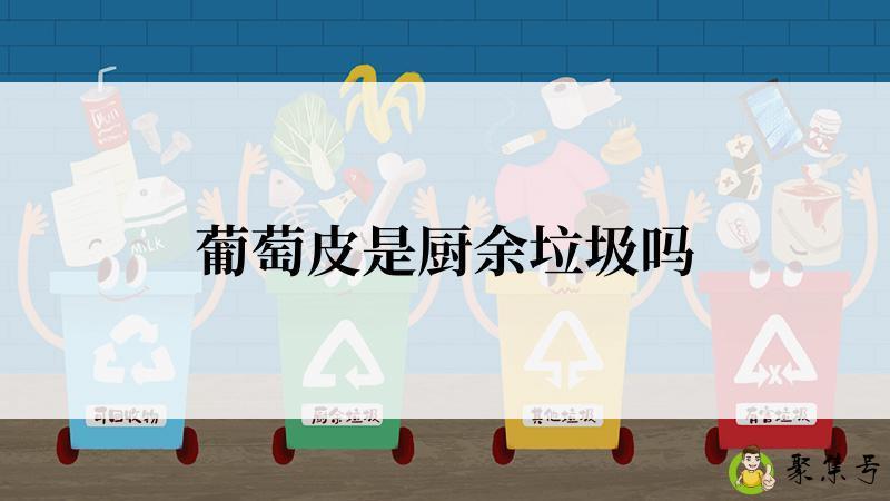 葡萄皮是厨余垃圾吗