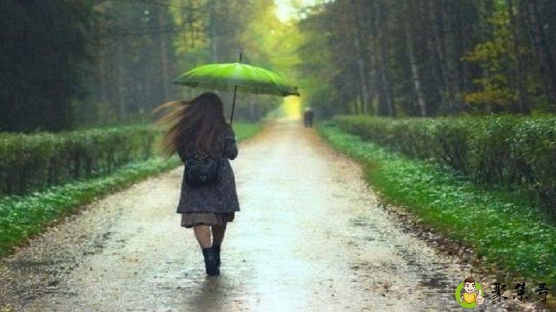 入伏下雨有什么说法