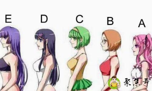 胸罩abcd代表什么意思