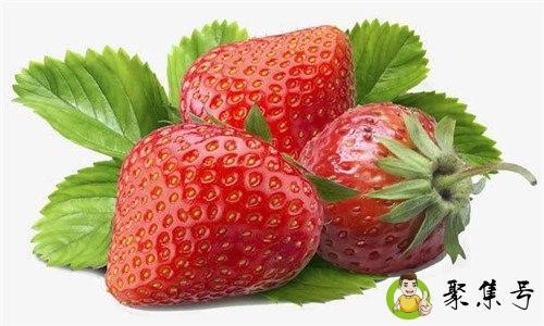 草莓软了还能吃吗