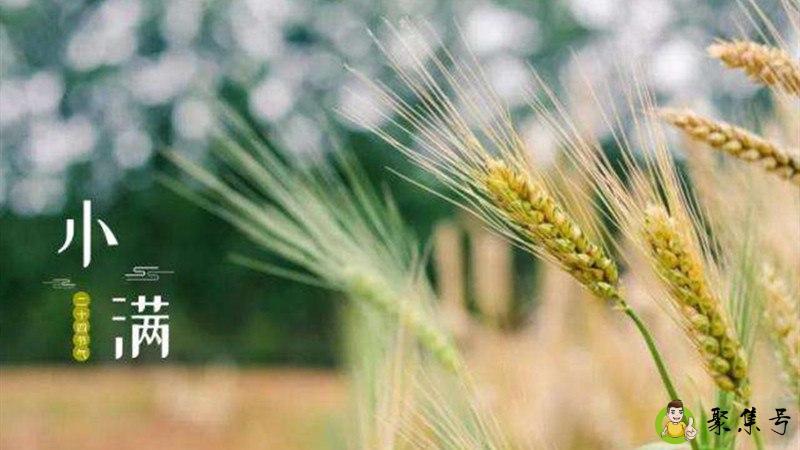 小满的民间风俗