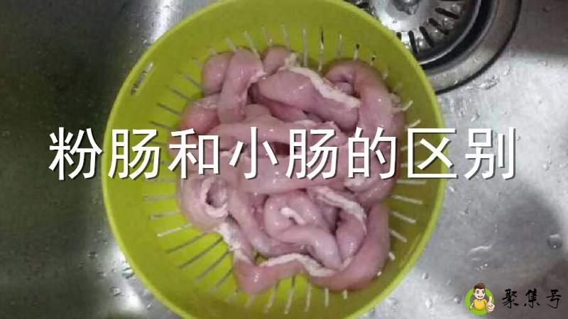 粉肠和小肠的区别