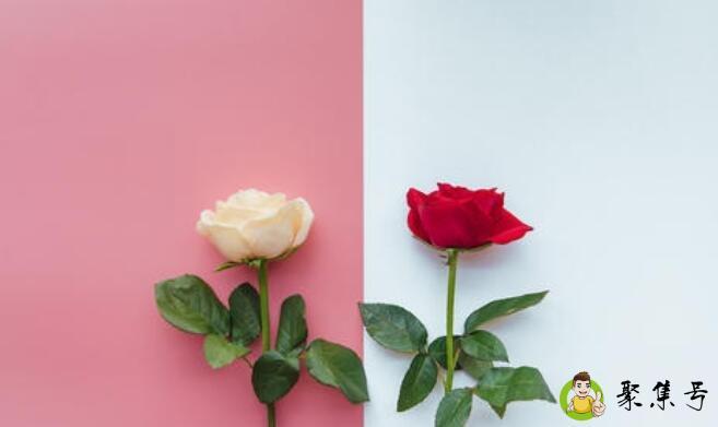 520和521有什么区别