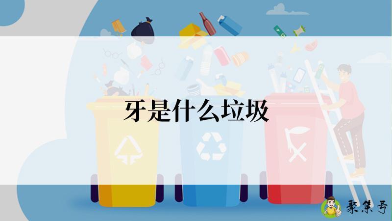 牙是什么垃圾