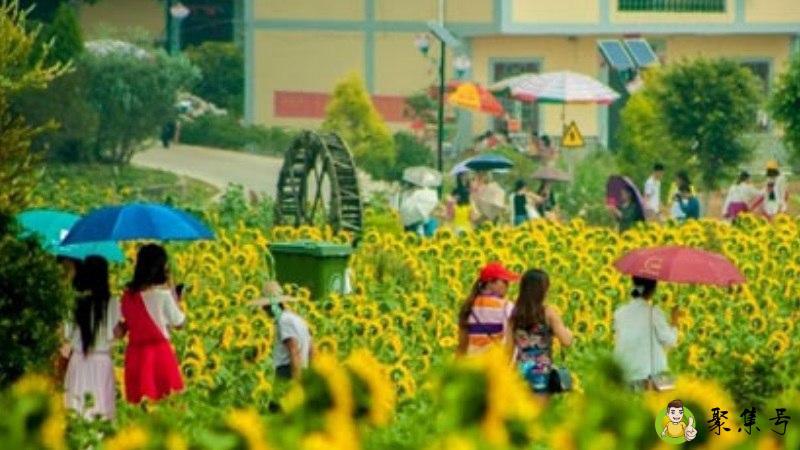 络绎不绝的近义词