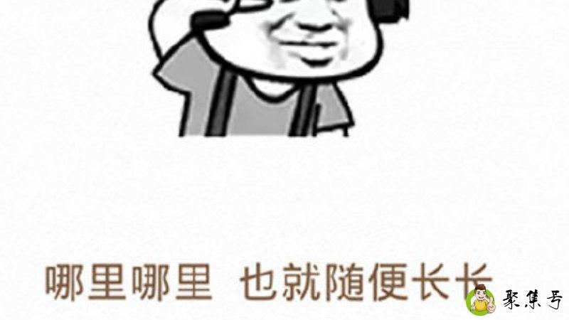 别人夸你帅怎么神回复